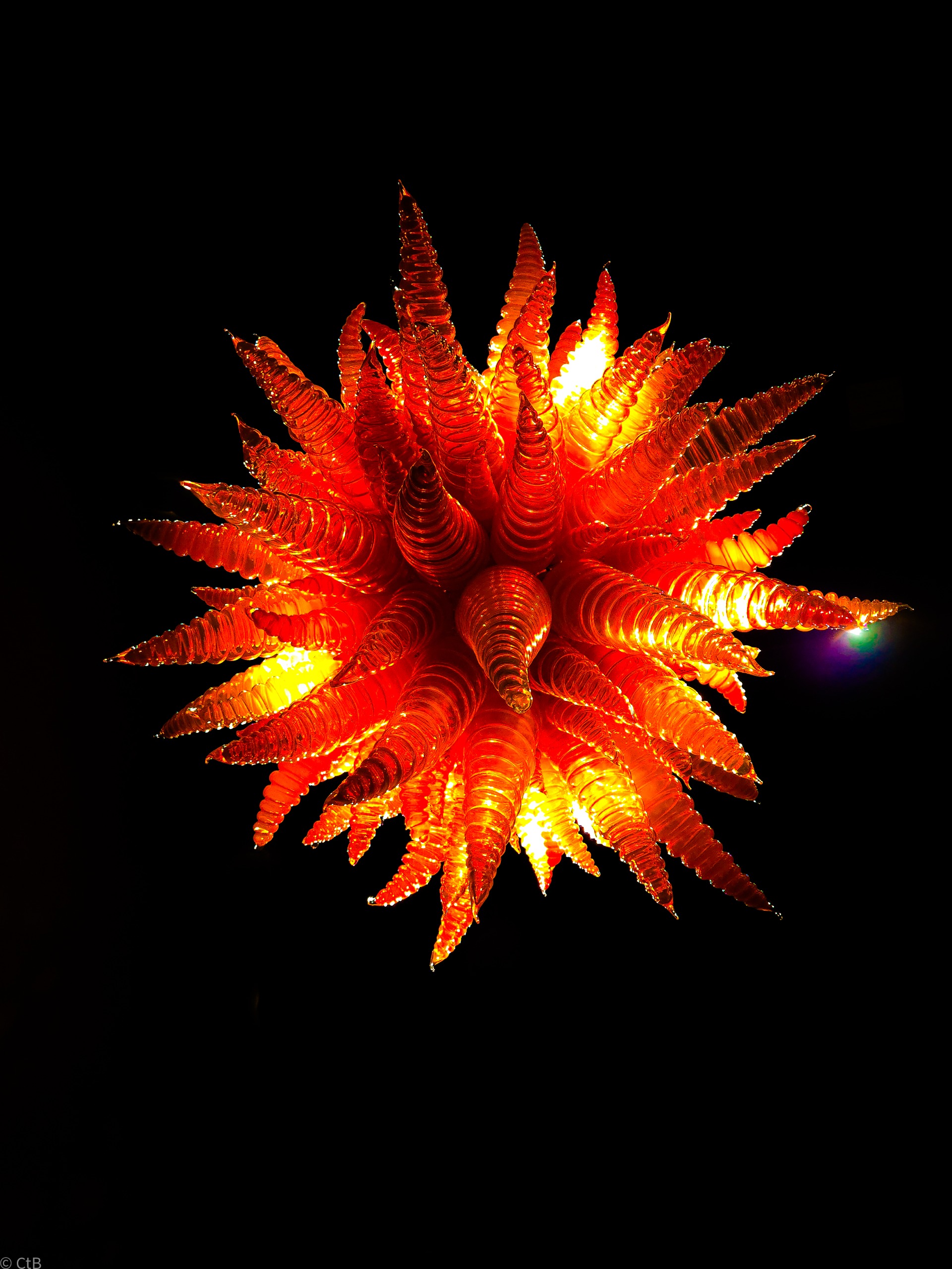 Untitled Photograph